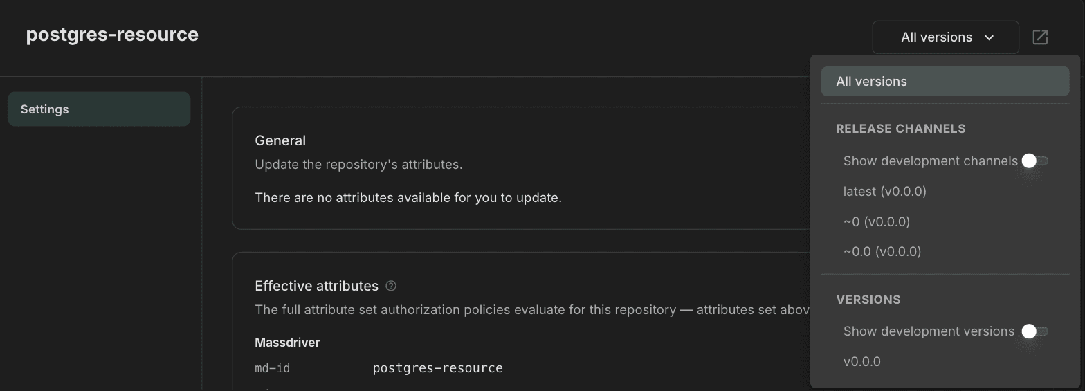 A resource type repository with its release channels and published versions